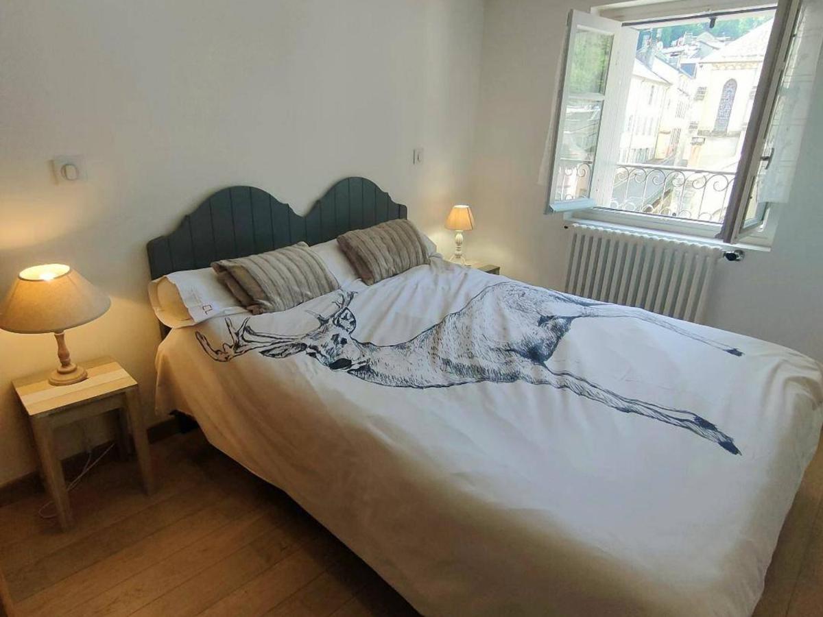 Appartement 3 Pieces A Cauterets, Proche Thermes Et Telecabine, Avec Wifi Et Parking - Fr-1-234-144 Eksteriør billede